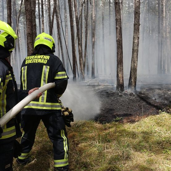 Zwei Feuerwehrleute in Helmen und Schutzkleidung sprühen Wasser auf einen brennenden Wald. Die Szene ist von Bäumen und Rauch umgeben.