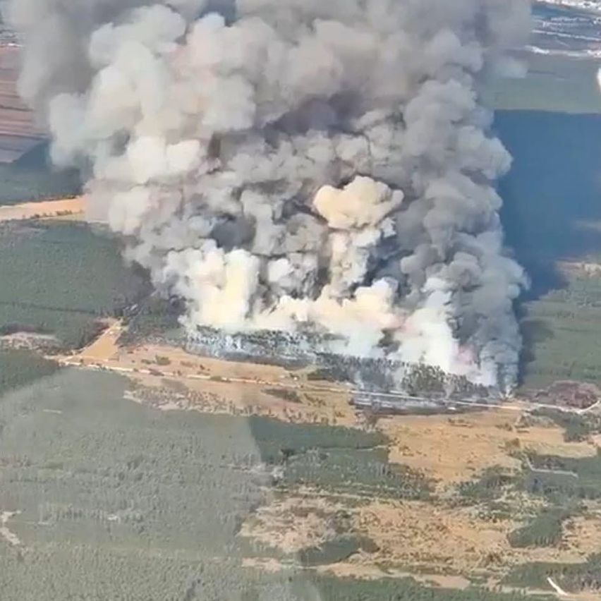 Eine Luftaufnahme eines großen Waldbrandes mit dickem Rauch, der in den Himmel steigt und ein Waldgebiet einhüllt.