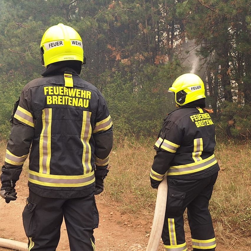 Zwei Feuerwehrleute in gelben Helmen und schwarzen Uniformen mit gelben Streifen stehen auf einem Feldweg, einer hält eine Feuerwehrschläuche, in einem Wald mit Bäumen und Rauch im Hintergrund.