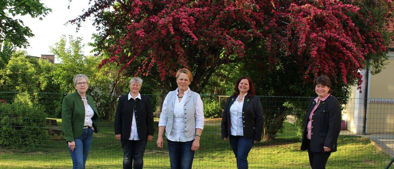 v1_migrated_image_12486542