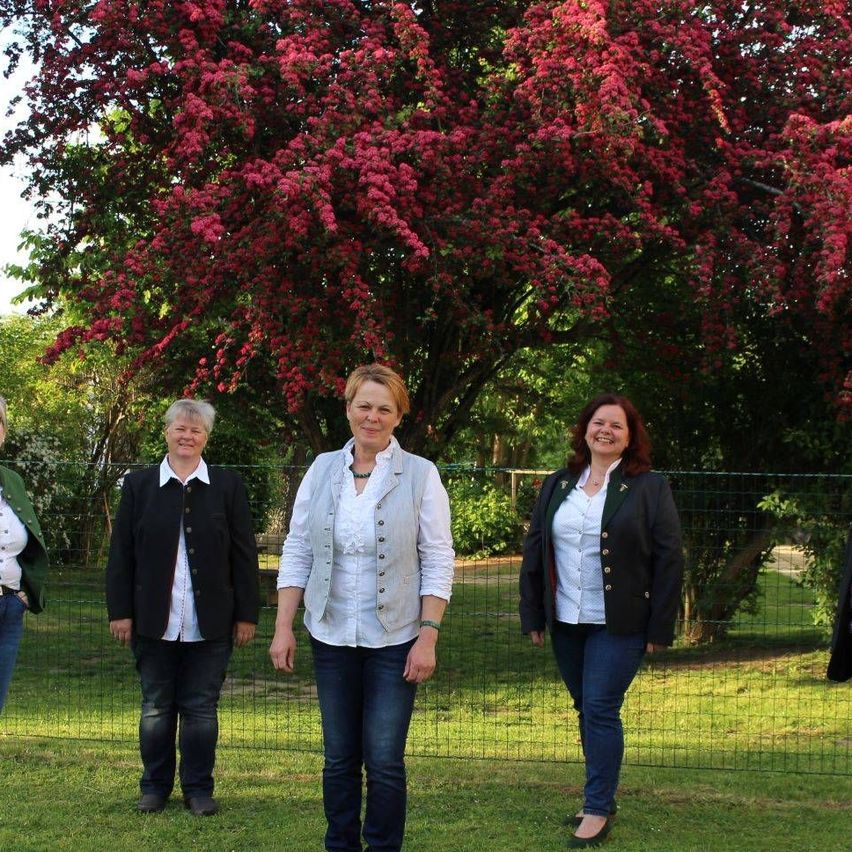 v1_migrated_image_12486542