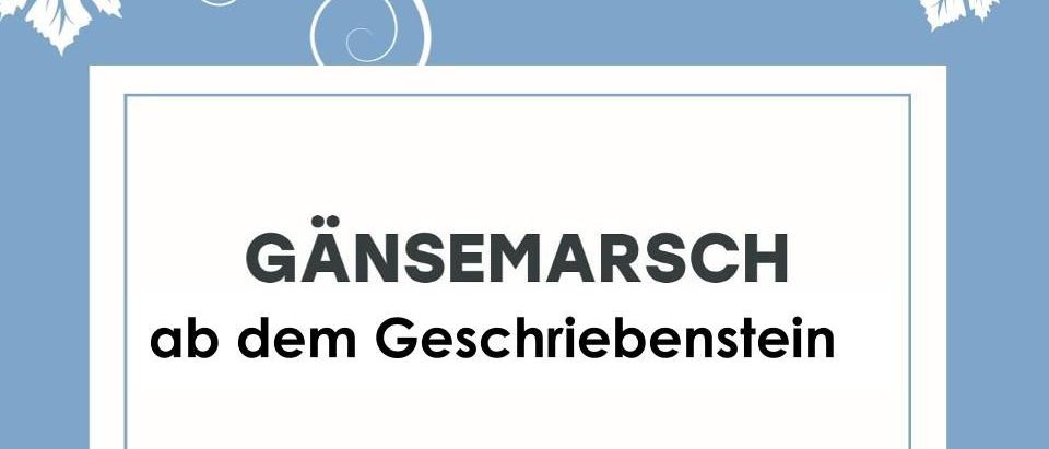 Plakat für die Gänsemarsch-Veranstaltung am 8. November 2025 mit einer malerischen Route für eine Nachtwanderung mit verschiedenen Abfahrtsorten und -zeiten. Beinhaltet Details über das AVITA Hotel, Pannonia Roth, Mamsell Lieu, Gasthaus zur Mühle, Gasthof Kappel und Pizzeria Amore. Die Veranstaltung bietet einen Shuttle-Service und kostenlose Teilnahme mit der Burgenland Card.