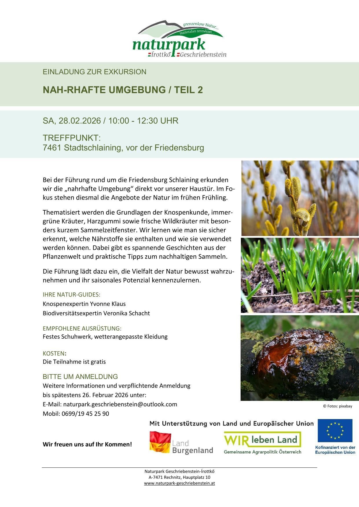 Eine Veranstaltung mit dem Titel "NAH-RHAFTE UMGEBUNG / TEIL 2" findet am Samstag, 28.02.2026 von 10:00 - 12:30 Uhr statt. Der Treffpunkt ist 7461 Stadtschlaining, vor der Friedensburg. Die Tour erkundet die nahe Umgebung im frühen Frühling, mit Fokus auf die Grundlagen der Pilzbestimmung, Wildkräuter und Pflanzeninhaltsstoffe. Teilnehmer erfahren, welche Nährstoffe sie enthalten und wie sie verwendet werden können.