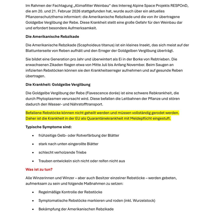 Ein Bild eines Dokuments, das den Amerikanischen Rebzikaden und die Goldgelbe Vergilbung behandelt. Es beschreibt den Lebenszyklus der Rebzikade und die Symptome der Krankheit an Weinreben und betont die Notwendigkeit von Überwachungs- und Kontrollmaßnahmen.