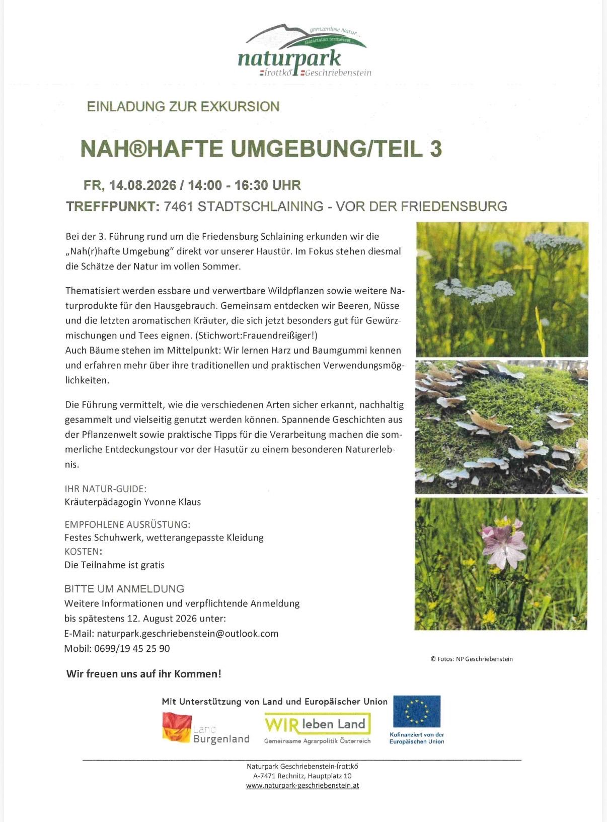 Plakat für eine geführte Naturwanderung um die Friedensburg Schlaining am 14. August 2026 von 14:00 bis 16:30 Uhr. Der Schwerpunkt liegt auf der Entdeckung essbarer und nützlicher Wildpflanzen und Naturprodukte im Sommer. Der Naturführer Yvonne Klaus gibt Einblicke in nachhaltige Erntemethoden und traditionelle Verwendungsmöglichkeiten von Pflanzen. Anmeldung erforderlich.