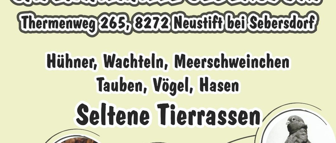 Werbeplakat für die Safentalhalle Sebersdorf Veranstaltung mit verschiedenen Tieren, Öffnungszeiten und Café-Informationen.