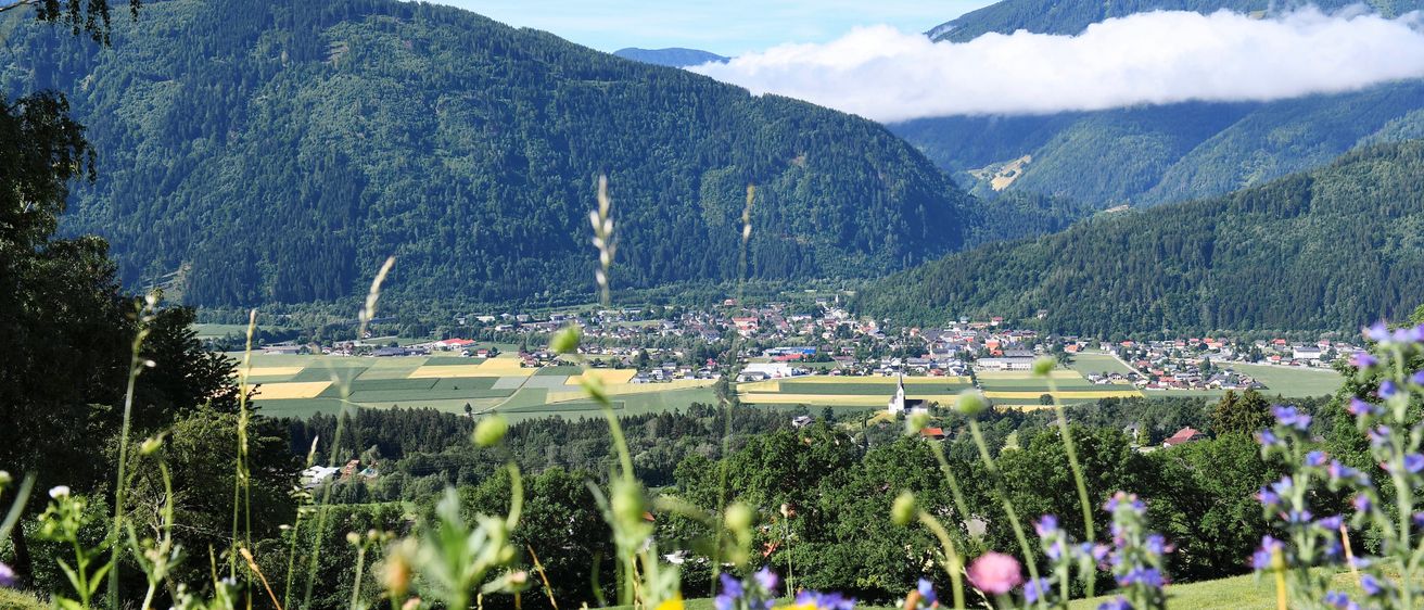 Field, Grassland, Nature, Outdoors, Countryside, Meadow, Grass, Scenery, Fir, Mountain Range