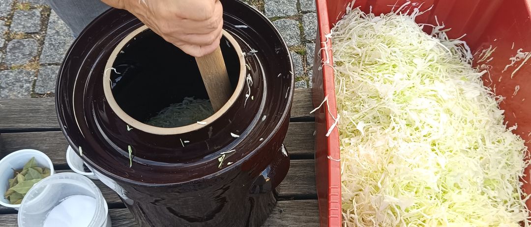 Eine Person presst zerkleinerten Kohl in einen Keramik-Fermentationskrug, wobei ein roter Plastikbehälter mit mehr Kohl in der Nähe auf einer Holzbank steht.