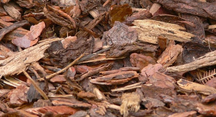 Eine Nahaufnahme einer Mischung aus braunem und rotem Mulch, in unterschiedlicher Größe und Textur, auf dem Boden verstreut.