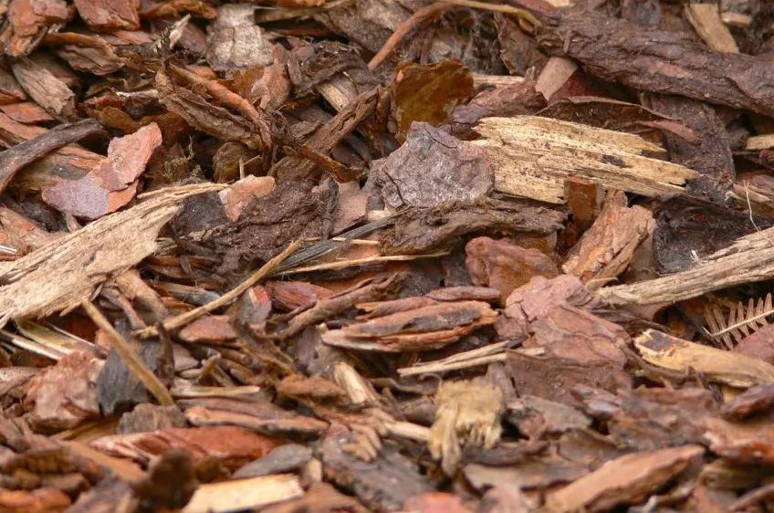 Eine Nahaufnahme einer Mischung aus braunem und rotem Mulch, in unterschiedlicher Größe und Textur, auf dem Boden verstreut.