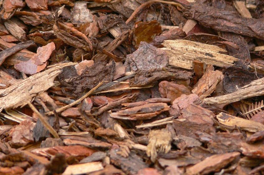 Eine Nahaufnahme einer Mischung aus braunem und rotem Mulch, in unterschiedlicher Größe und Textur, auf dem Boden verstreut.