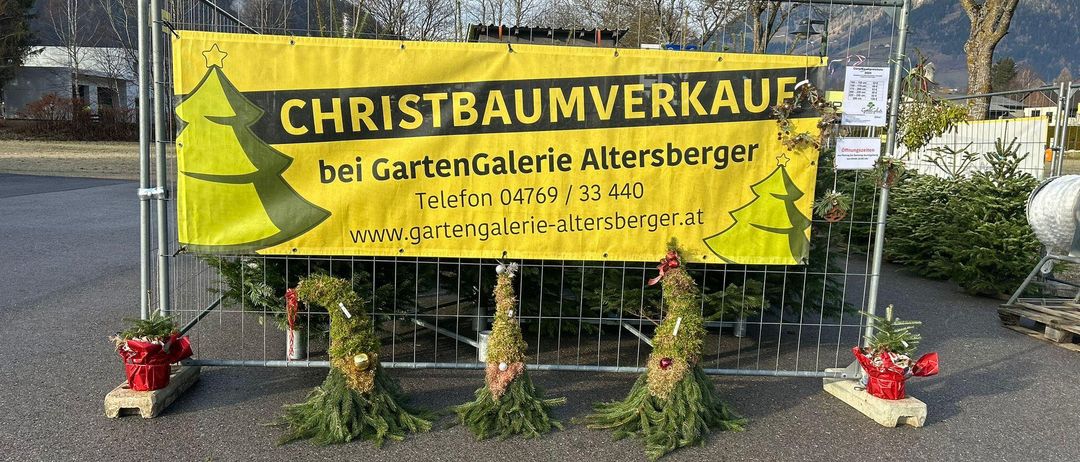 Ein gelbes Banner, das einen Verkauf von Weihnachtsbäumen bewirbt, ist an einem Metallzaun angebracht. Hinter dem Zaun sind drei kleine Weihnachtsbäume aufgestellt. Das Banner enthält Kontaktdaten für GartenGalerie Altersberger.