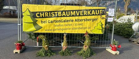 A yellow banner advertising a Christmas tree sale is displayed on a metal fence. Behind the fence, three small Christmas trees are arranged. The banner includes contact details for GartenGalerie Altersberger.