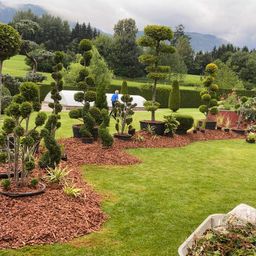 Ein gepflegter Garten mit verschiedenen geschnittenen Bäumen und Sträuchern, eine Person kümmert sich um die Pflanzen. Hinter dem Garten ist ein Gewächshaus zu sehen, mit Bergen in der Ferne.