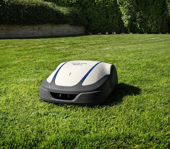 Ein weißer und blauer robotergesteuerter Rasenmäher steht auf einem grünen Rasen mit einer Steinmauer und Hecken im Hintergrund.