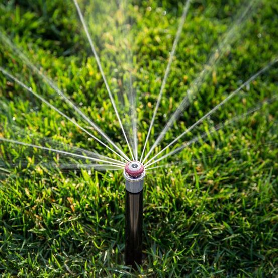 Ein Rasensprenger sprüht Wasser auf einen grünen Rasen. Der Sprinkler ist schwarz mit einem roten Deckel. Wasser spritzt aus mehreren Punkten.