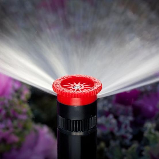 Ein roter und schwarzer Sprinkler sprüht Wasser in die Luft in einem Garten, umgeben von lila Blumen.
