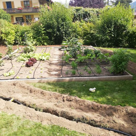 Ein Garten im Hinterhof mit Reihen von Pflanzen und Gemüse, umgeben von einer Steinumrandung und Büschen. Ein Haus mit Balkon ist im Hintergrund sichtbar.