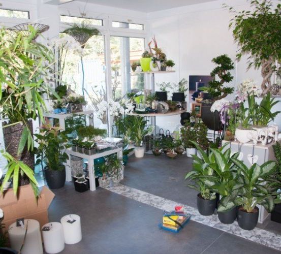 Ein Raum voller verschiedener Pflanzen und Blumen, mit Regalen und Tischen, die Töpfe und Vasen halten, und einem hellen Fenster im Hintergrund.