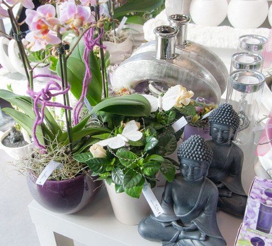 Eine Ausstellung verschiedener Topfpflanzen, einschließlich Orchideen, eines Schmetterlings und Buddha-Statuen, mit Kerzen und einer silbernen Lampe.