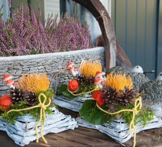 Drei dekorative Blumenarrangements mit Pilzen, Tannenzapfen und Blättern sind auf einem Holztisch ausgestellt. Dahinter steht ein großer Pflanzkasten mit violetter Heide.