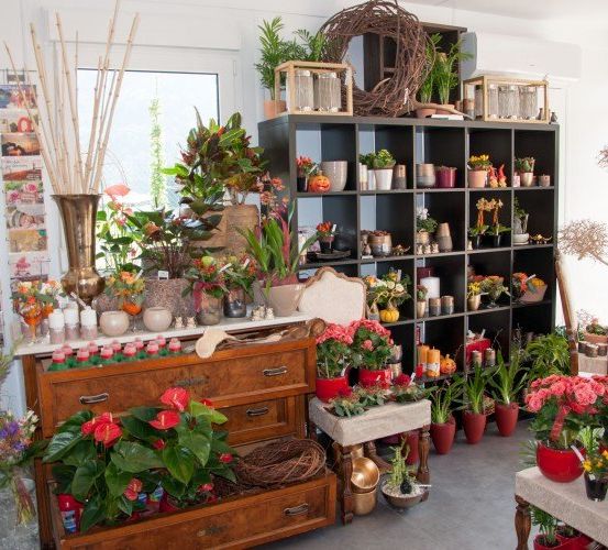 Ein Raum gefüllt mit verschiedenen Pflanzen, Blumen und Dekorationsartikeln, einschließlich Vasen, Töpfen und Kerzen, ausgestellt auf Regalen, Schubladen und Tischen.