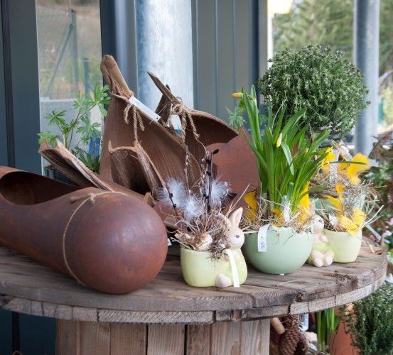 Ein holzner Tisch zeigt verschiedene Pflanzen, einschließlich grüner Topfpflanzen, eines großen braunen Schuhs und einer korbartigen Struktur. Im Hintergrund befinden sich weitere Pflanzen und ein Fenster.