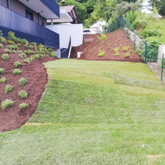 Ein Außenbereich mit einem blauen und weißen Gebäude auf der linken Seite. Rechts befindet sich ein grüner Rasen und links ein brauner Erdbereich. Rechts ist ein Zaun.