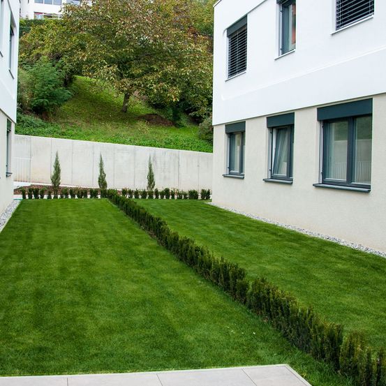 Ein modernes weißes Gebäude mit mehreren Fenstern ist zu sehen, vor ihm befindet sich ein gepflegter Rasen. Der Rasen ist geschnitten und in ein geschwungenes Muster geformt.