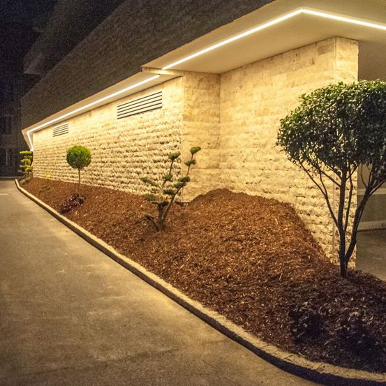 Ein Gebäude mit einer Steinmauer wird nachts von Lichtern beleuchtet. Die Mauer hat Pflanzen und Sträucher, mit einem großen Baum auf der rechten Seite.