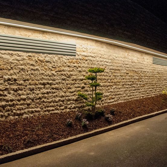 Eine Steinmauer mit eingebetteten Lichtern ist nachts zu sehen. Davor wächst eine kleine Pflanze, neben ihr befindet sich ein Weg.