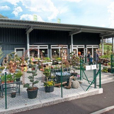 Ein Gartenladen mit einer Vielzahl von Pflanzen und Bäumen draußen, unter einem Metalldach. Eine Person steht in der Nähe des Eingangs. Der Parkplatz ist davor.