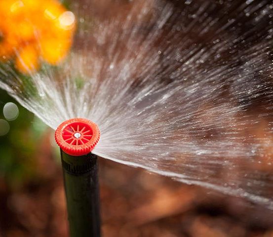 Eine Nahaufnahme eines roten Sprinklers, der Wasser sprüht, mit einer gelben Blume und grünen Blättern im Hintergrund.