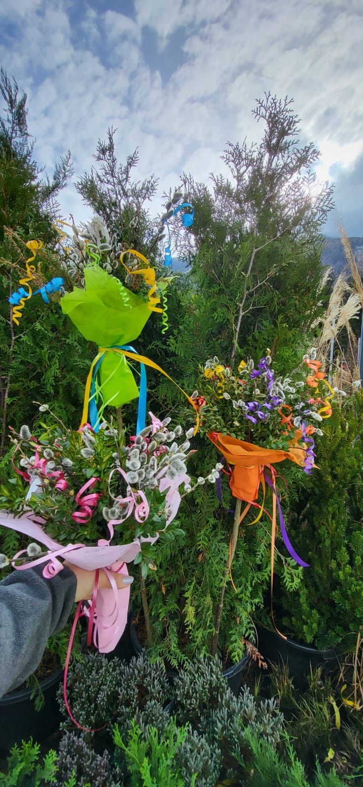 Drei bunte Blumensträuße, eingewickelt in rosa, grüne und orange Papier, werden vor einem Hintergrund aus üppigem grünem Laub und Büschen gehalten.
