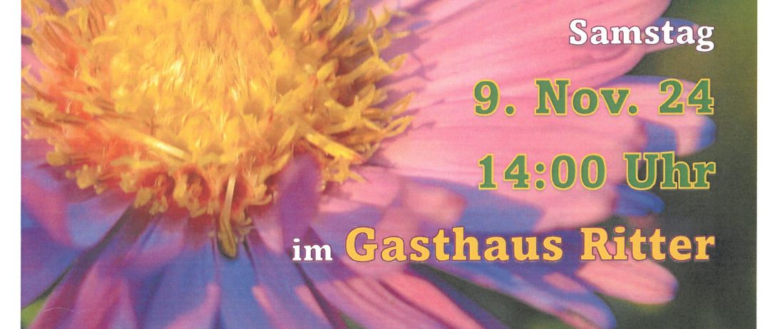 Bild enthält, Advertisement, Poster, Flower, Plant, Person, Daisy, Text