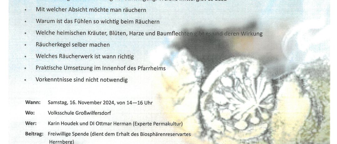 Bild enthält, Page, Text, Advertisement, Poster, Animal, Reptile, Sea Life, Turtle, Menu