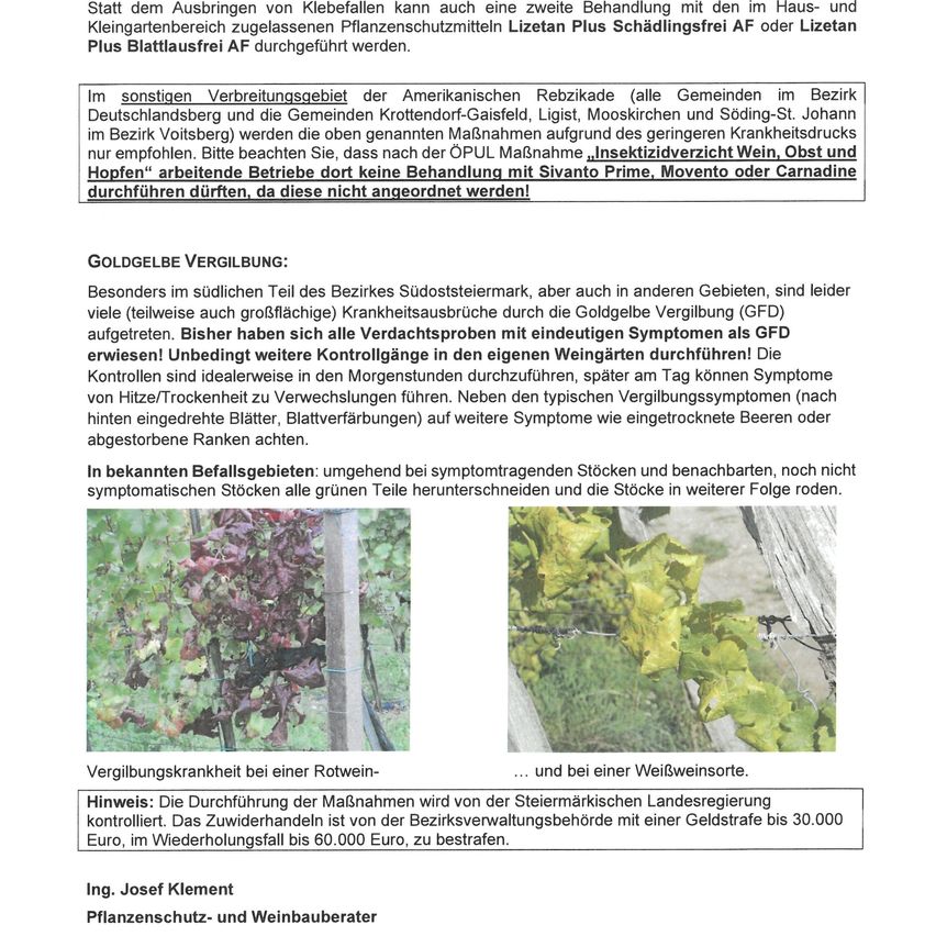 Nach dem Auftreten von Blattläusen kann eine zweite Behandlung mit den im Haus- und Gartenbereich zugelassenen Pflanzenschutzmitteln Lizetan Plus Schadlingsfrei AF oder Lizetan Plus Blattlausfrei AF durchgeführt werden.