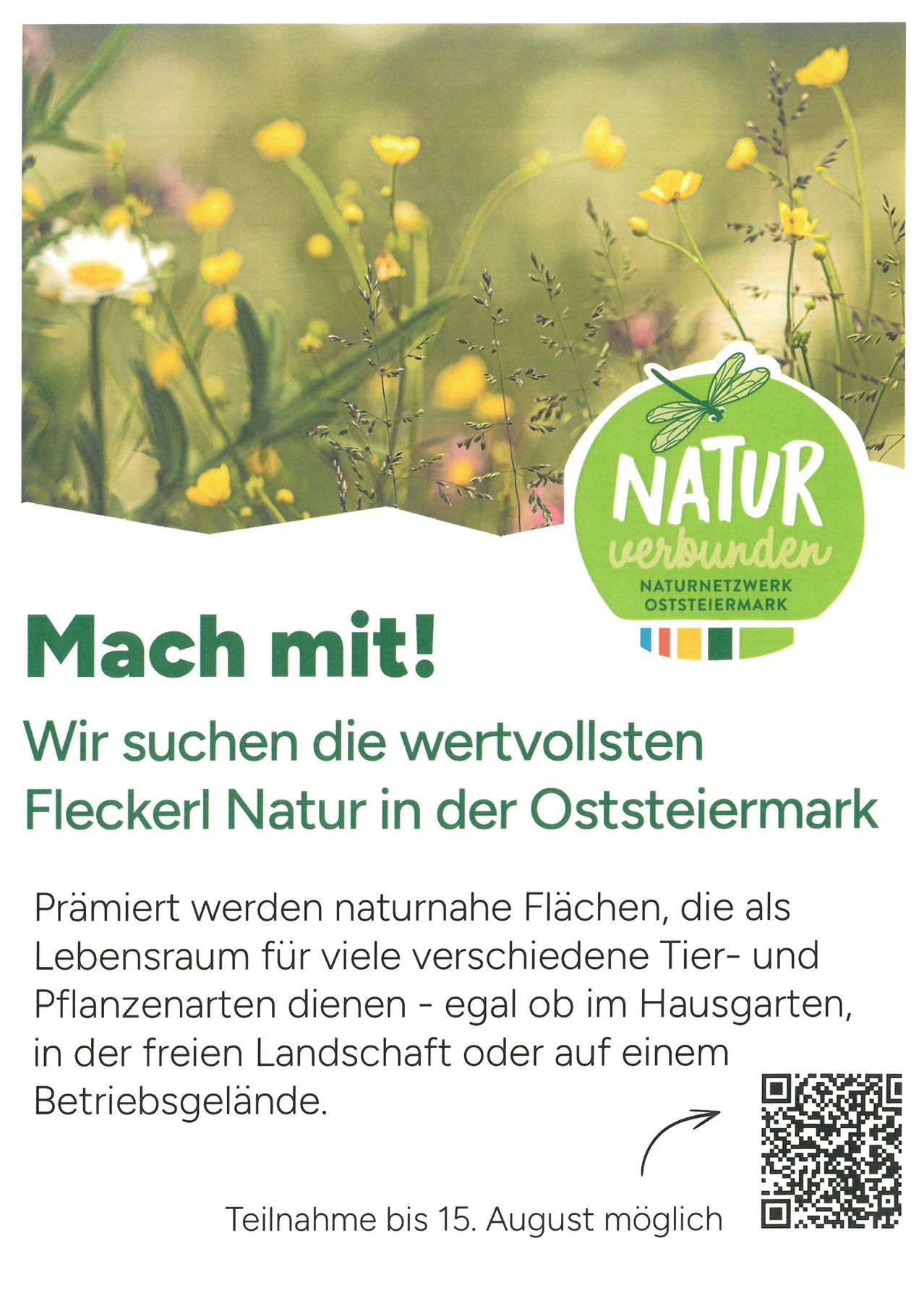 Plakat mit grünem Hintergrund, das verschiedene Blumen und eine Libelle zeigt. Es steht 'Mach mit!' und 'Wir suchen die wertvollsten Flecken Natur in der Oststeiermark'. Ein QR-Code befindet sich unten rechts.