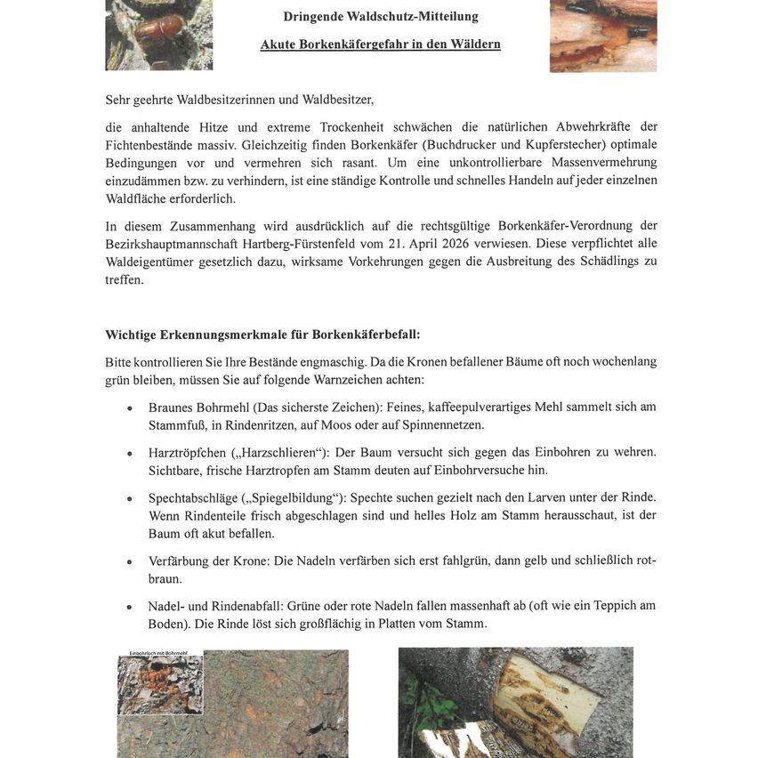 A document with a warning about the acute bark beetle infestation in forests. It mentions the impact of heat and drought on natural defenses of trees, the optimal conditions for bark beetles, and the need for constant monitoring and quick action on each forest area. It also highlights the legal bark beetle control regulation by the district office of Hartberg-Fürstenfeld from April 21, 2026, which obligates all forest owners to take effective measures against the pest.