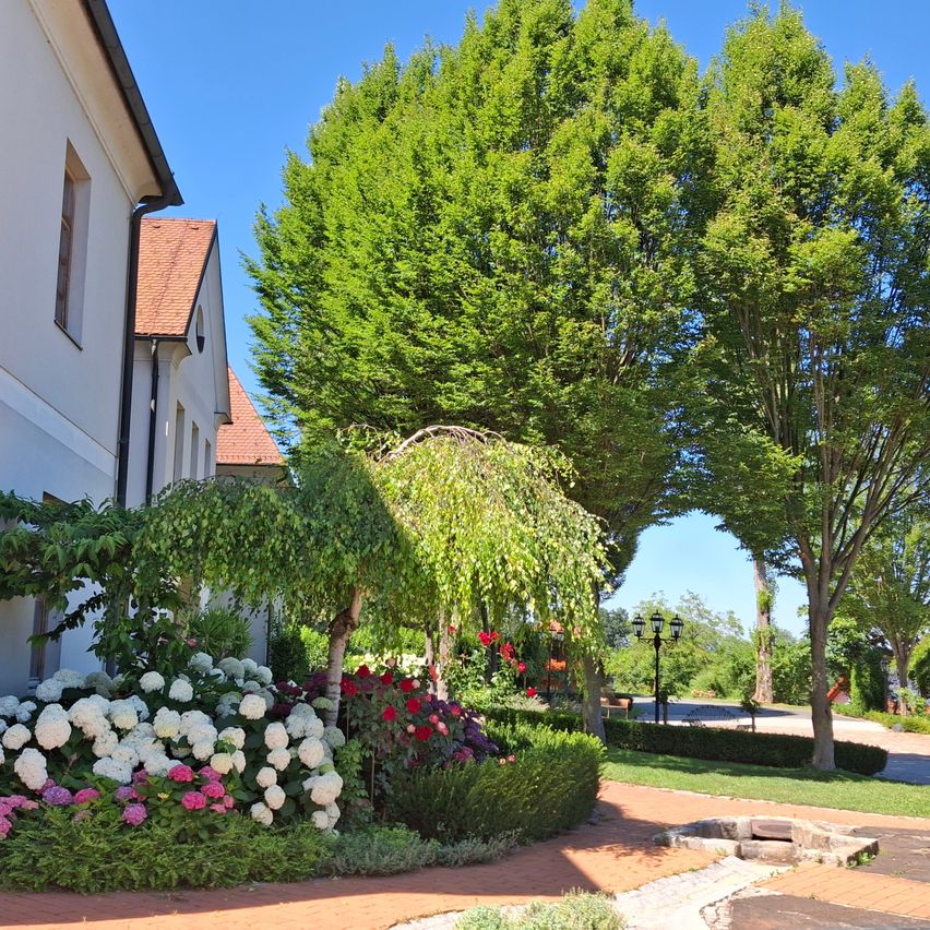 A garden with a variety of flowers and trees, including white hydrangeas, pink hydrangeas, and red roses, in front of a house with a red roof.