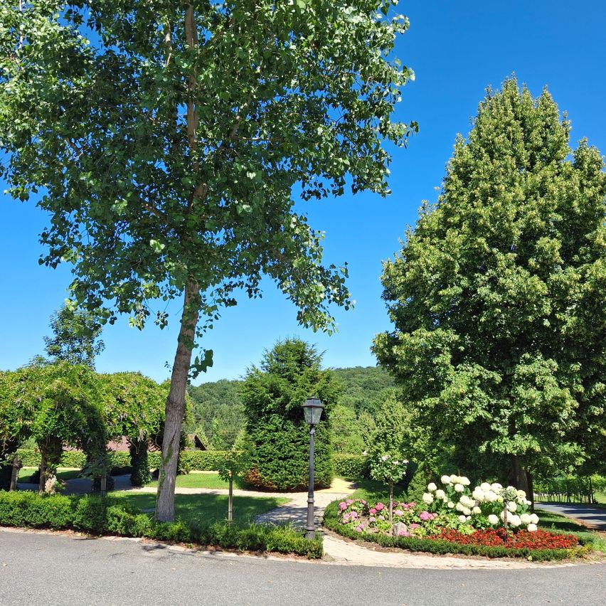 A well-maintained garden with a variety of trees, shrubs, and flowers, under a clear blue sky. A lamp post stands near a circular flower bed.