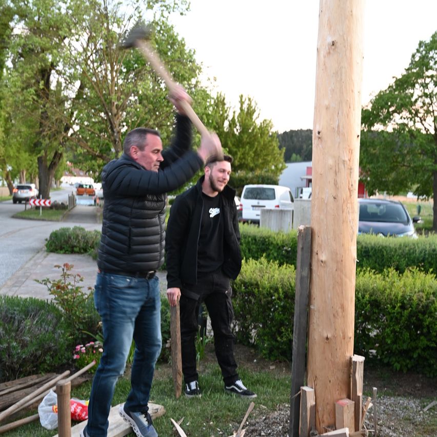 Zwei Männer in einem Park schlagen mit einem Beil einen großen Baum um. Einer steht auf einer Holzplattform und hält das Beil, während der andere zusieht.