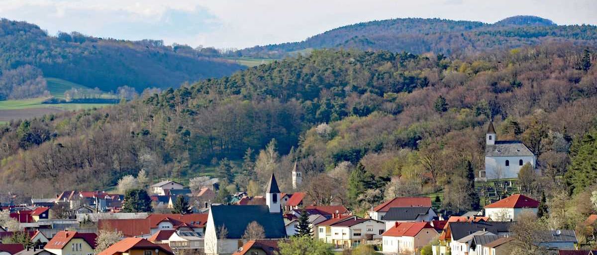 IMG_0013-02_Fruehlimgspanorama_9626_1_2b65e751a4bf0109c8aa614da8cfcdf1