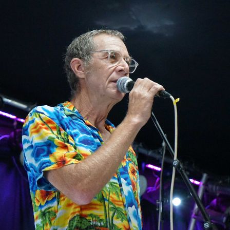 Microphone, Performer, Person, Solo Performance, Adult, Male, Man, Musician, Singing, Glasses