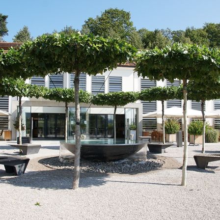 Bild enthält, Door, Bench, Furniture, Indoors, Interior Design, Plant, City, Urban, Hot Tub, Tub