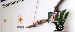 Bild enthält, Indoors, Interior Design, Furniture, Floor, Bookcase, Plant, Photo Frame