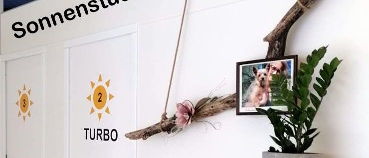 Bild enthält, Indoors, Interior Design, Furniture, Floor, Bookcase, Plant, Photo Frame