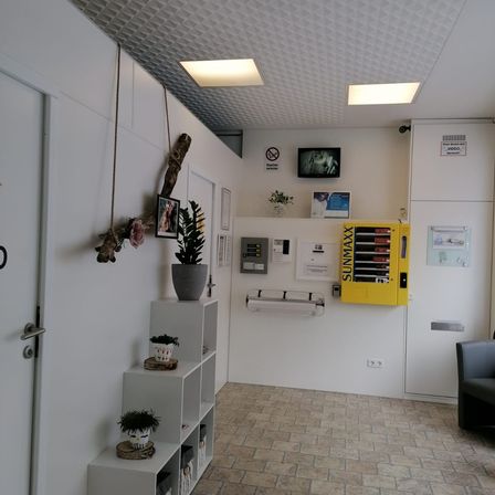 Bild enthält, Floor, Indoors, Interior Design, Switch, Flooring, Plant, Potted Plant, Foyer