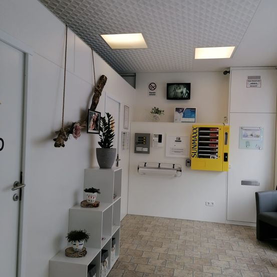 Bild enthält, Floor, Indoors, Interior Design, Switch, Flooring, Plant, Potted Plant, Foyer