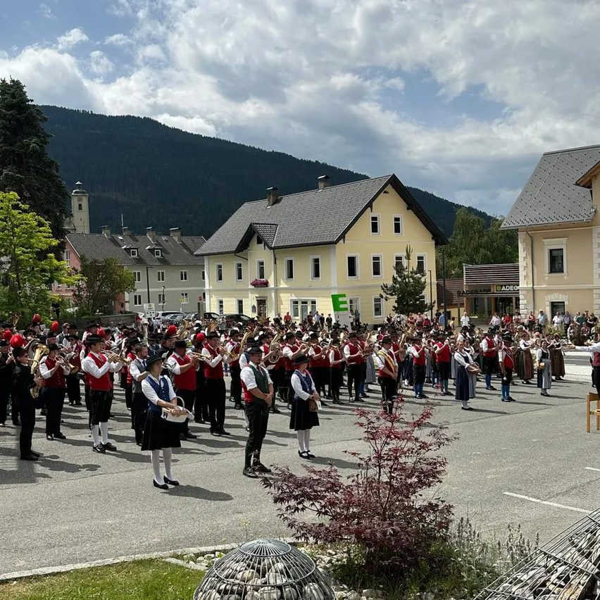 People, Person, Flash Mob, Marching